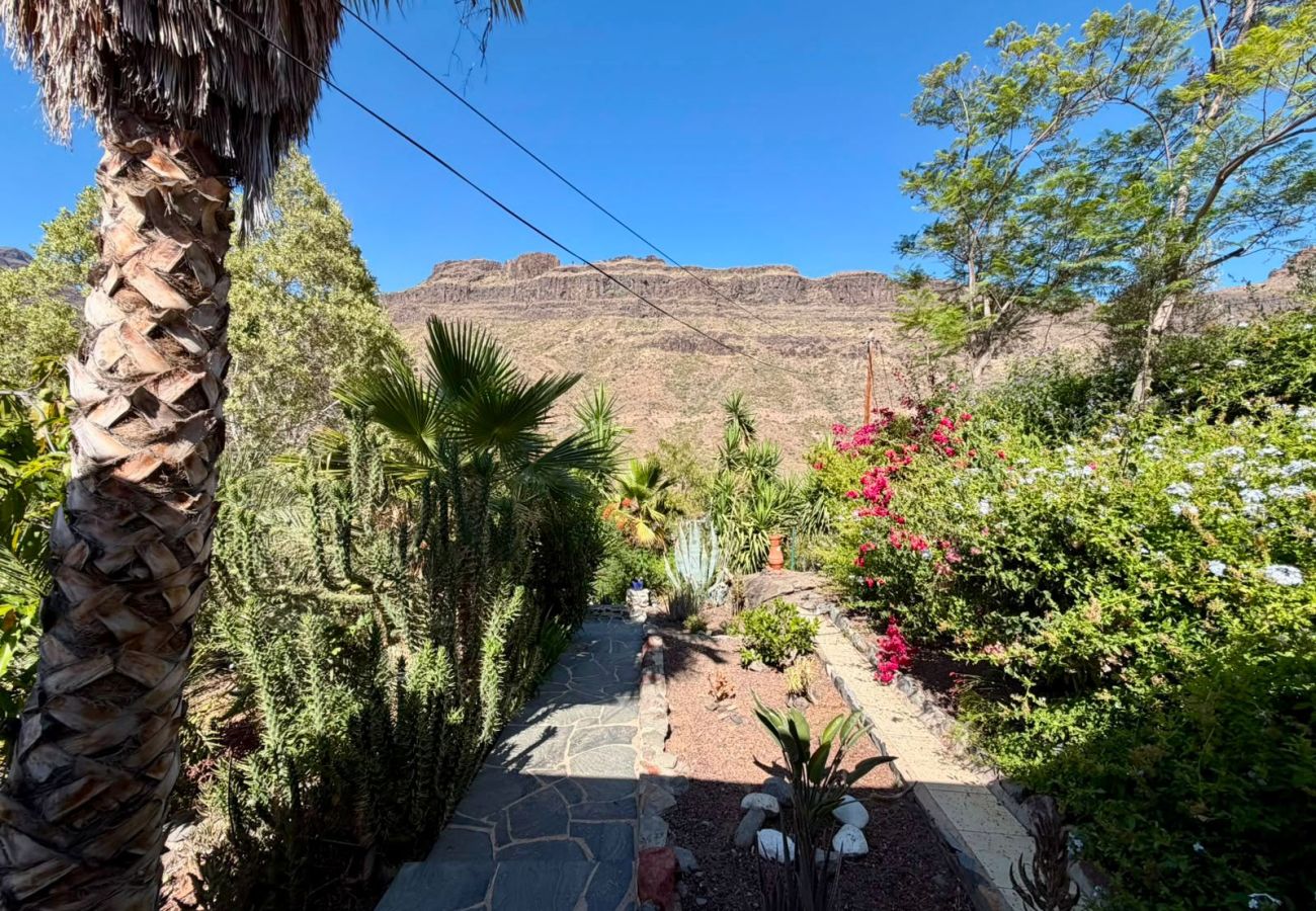 Casa rural en San Bartolomé de Tirajana - Mirador de Ayagaures