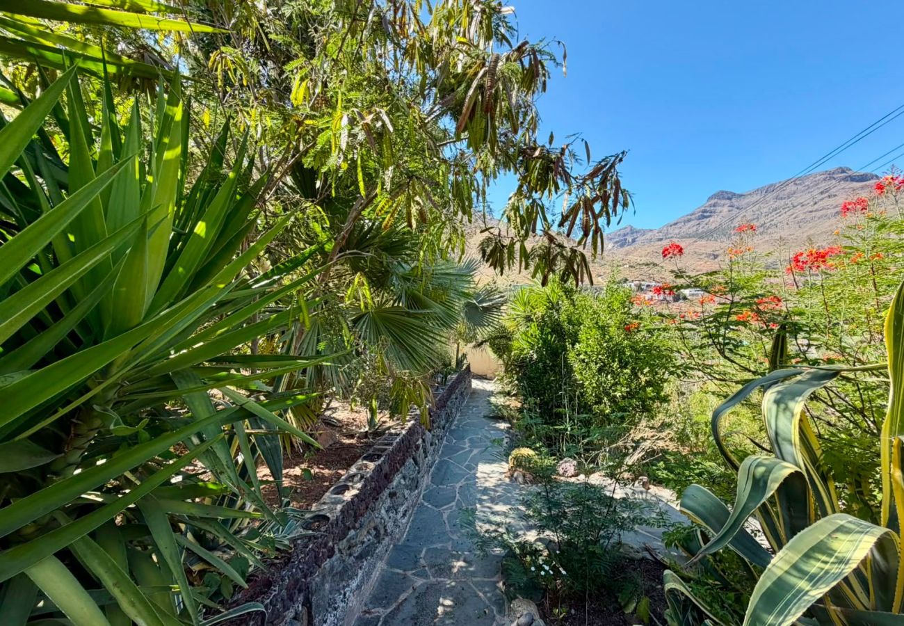 Casa rural en San Bartolomé de Tirajana - Mirador de Ayagaures