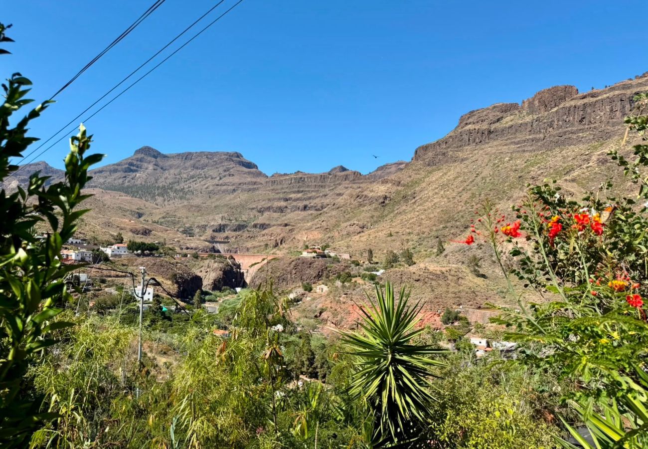 Casa rural en San Bartolomé de Tirajana - Mirador de Ayagaures