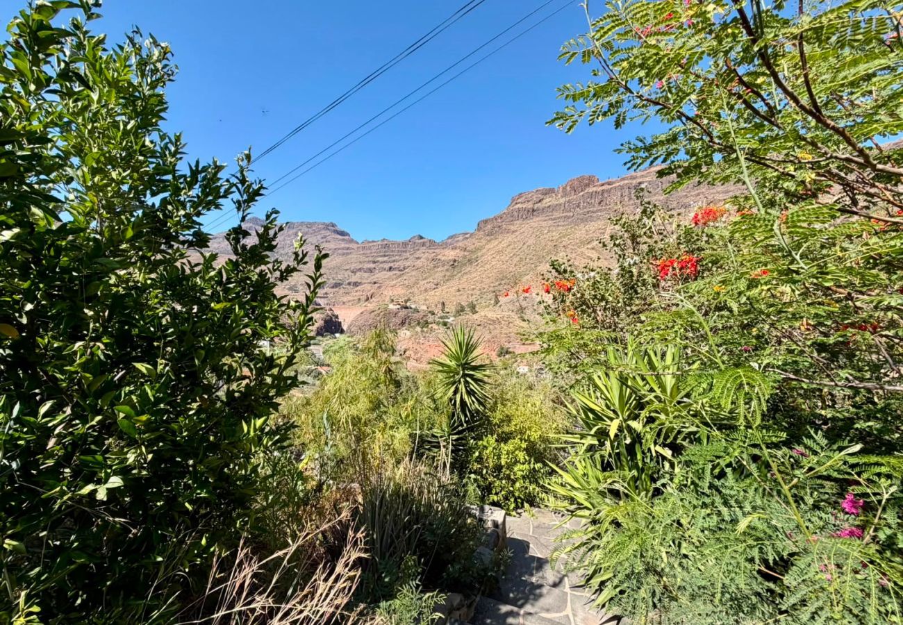 Casa rural en San Bartolomé de Tirajana - Mirador de Ayagaures