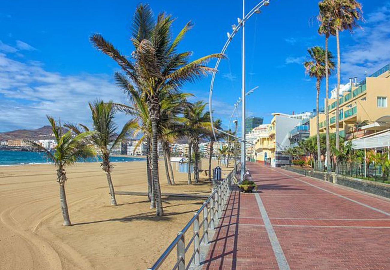 Apartamento en Las Palmas de Gran Canaria - Coral Canteras Loft