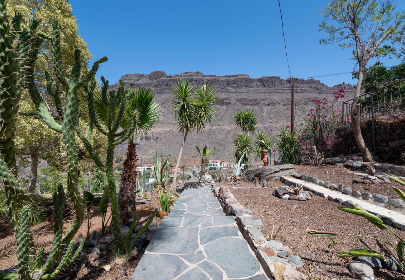 Cottage in San Bartolomé de Tirajana - Mirador de Ayagaures