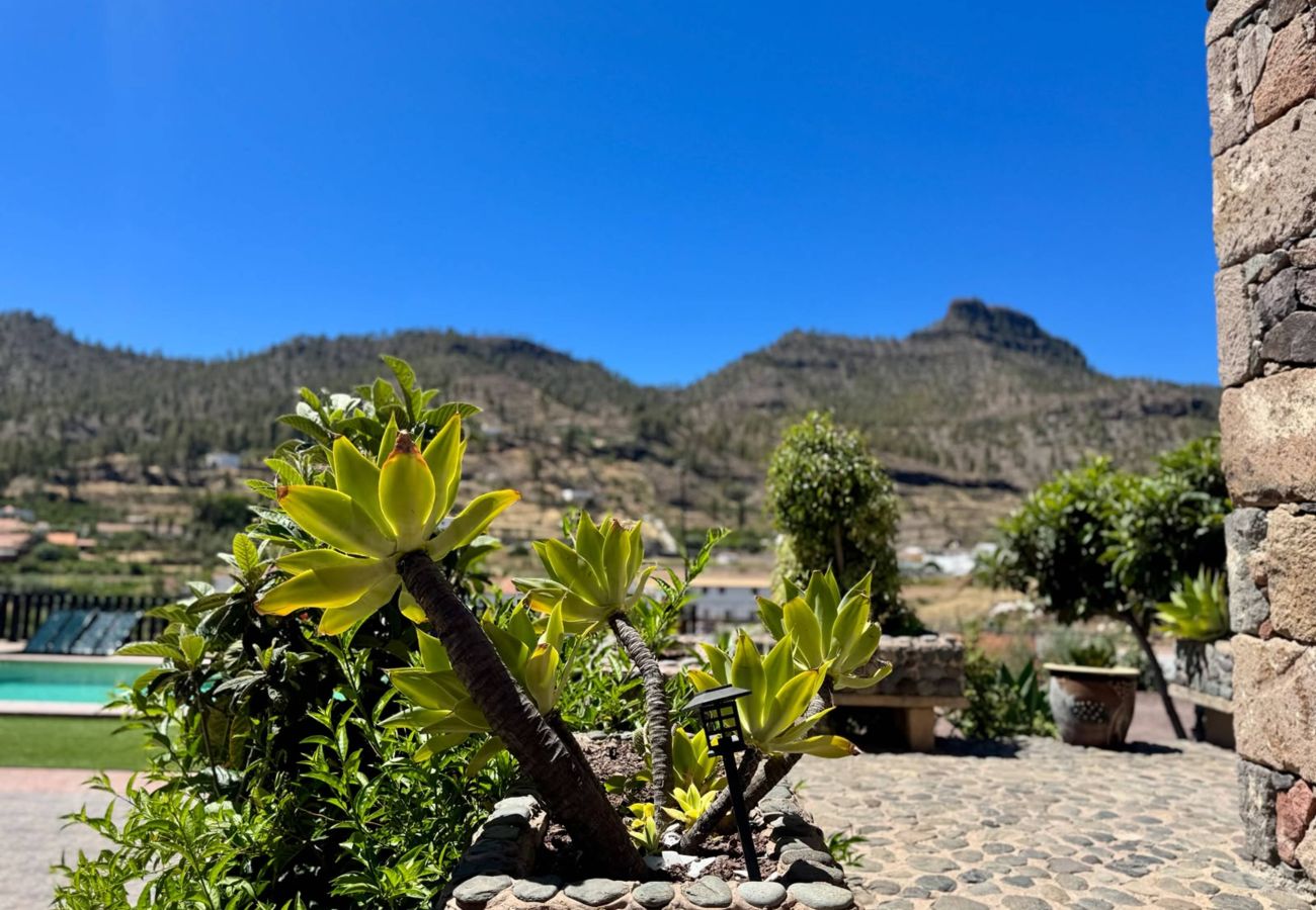 Cottage in San Bartolomé de Tirajana - Casa Rural Las Colmenas